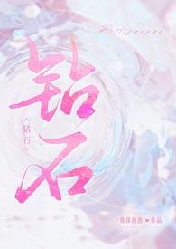 钻石全文免费