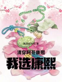 清穿被康熙多个阿哥睡过