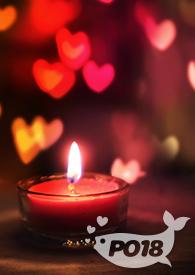 雀登枝无防盗全文阅读