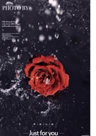 玫瑰花保养手册恋与深空祁煜同人