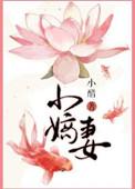 小嫡妻原著
