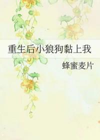 小狼狗小奶狗重生莲衫