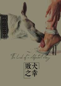 败犬 百度百科