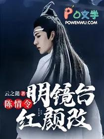 陈情令之镜像
