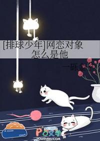 排球少年感情