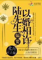 陆先生偏要以婚相遇