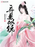 弃妻似锦全文阅读