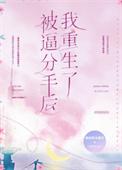 被分手后我爆红全网