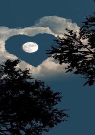 姐弟情深无芥蒂