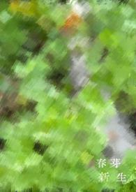 浙江新芽文化传媒有限公司