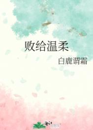 败给温柔讲的是什么故事