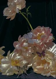 午夜时分是几点开始