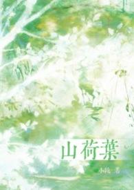 山荷叶和荷叶有区别吗