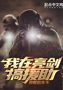 我在亮剑搞援助TXT八零电子书