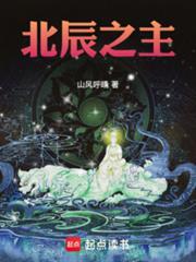 x北辰北