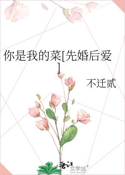 你是我的菜先婚后爱晋江