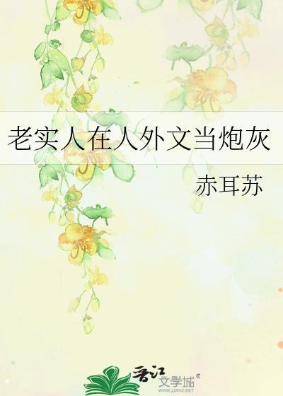 老实人在国外