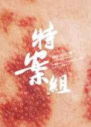 特殊案件调查组Vii