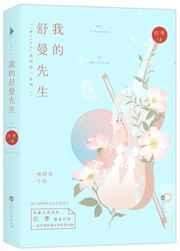 舒曼的介绍