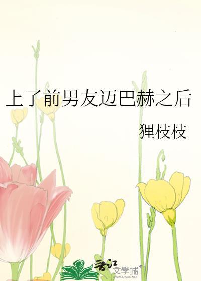 上前男友迈巴赫