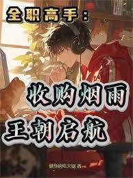 全职高手 后续