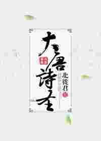 大唐诗圣生孩子第几集