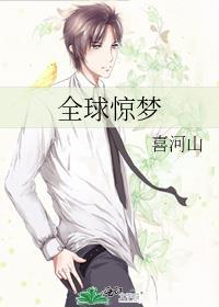全球惊梦txt资源