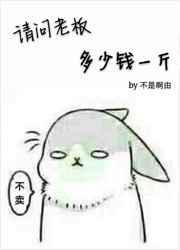 老板猪肉多少钱一斤