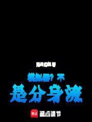 模拟机型的分身软件