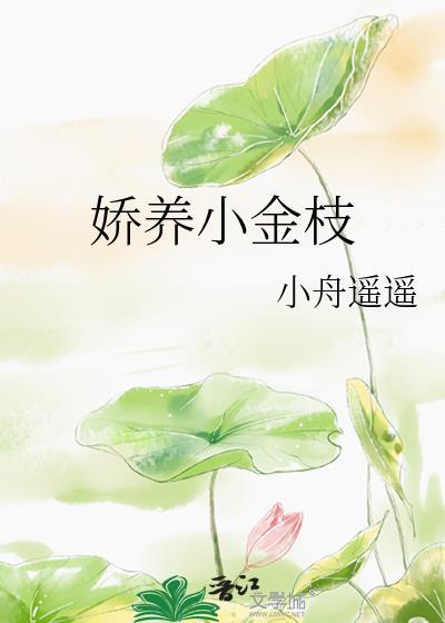 娇养小金枝最新章节