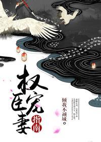 权臣宠妻指南 倾我不倾城