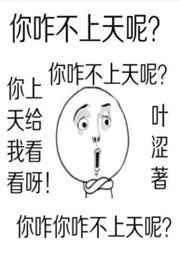 你咋不上天呢歌曲