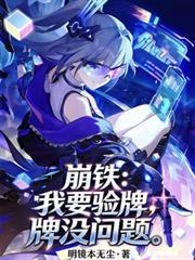 崩铁我要验牌