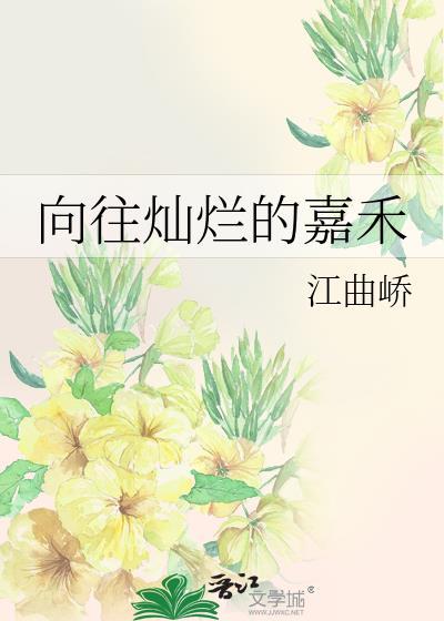 向往之璀璨人生