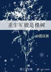 重生之军嫂是棵树