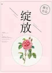 绽放的向日葵