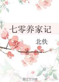 七零养家记 北佚 txt