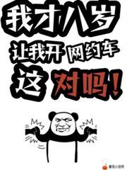让我开网约车这对吗txt