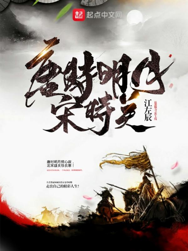 唐时明月宋时关 阅读