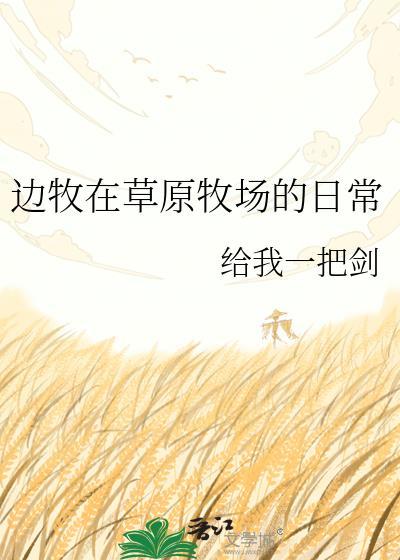 边牧在草原牧场的日常
